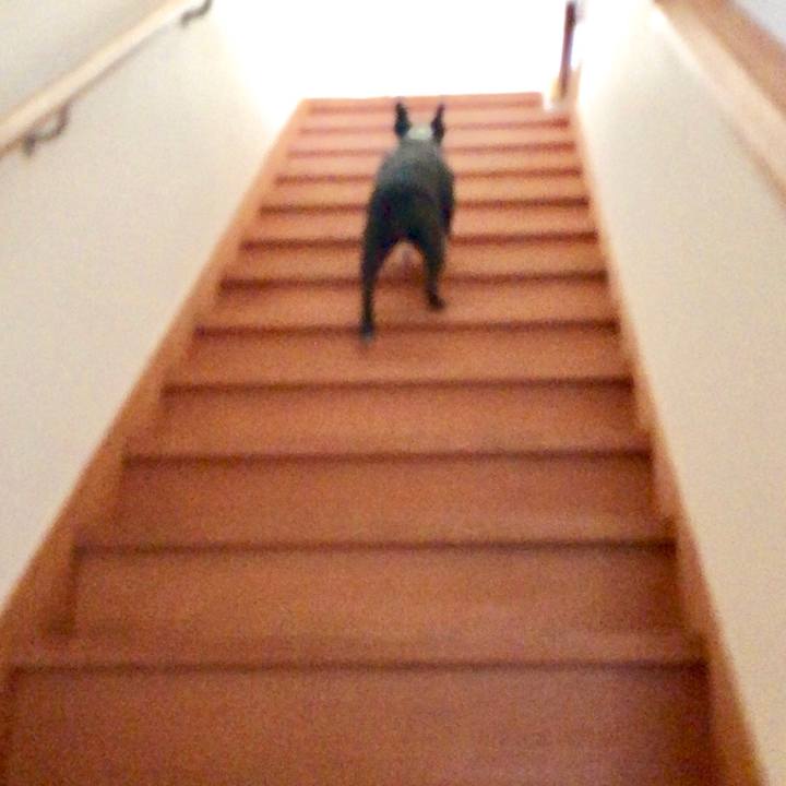 76e193a5 7f59 4cf8 9eba c43e9c8178ca 1560645292618