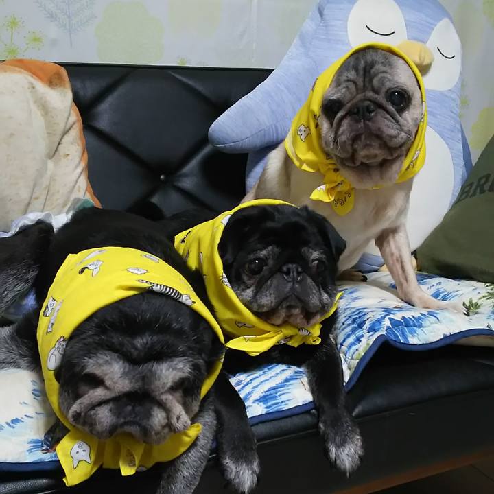 76e19df9 187b 47ab a4fb e2513a1f66c1 1591310495633