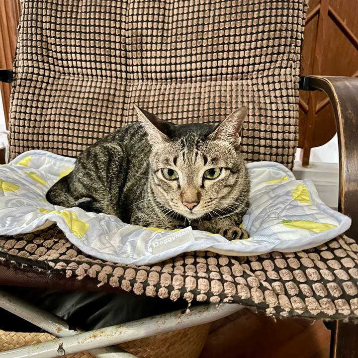 76e1ad25 451a 4ba2 bf09 fc7cdbf60434 1765793474630