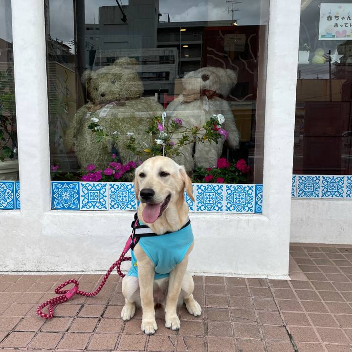 76e1afa4 8469 42bd 91e8 339a0ae93de0 1622244257950