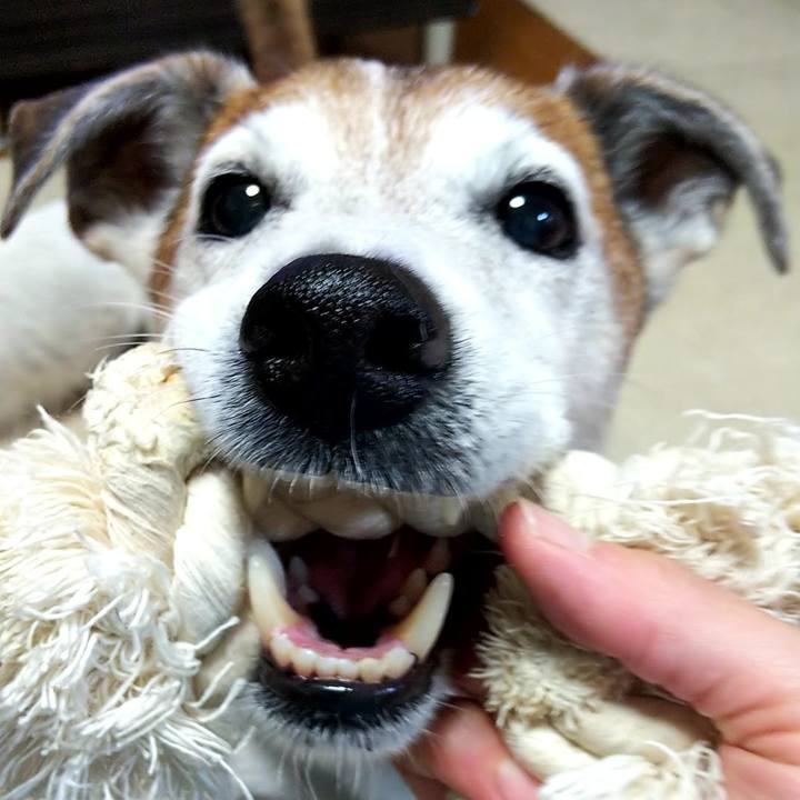 76e1fee4 cb89 44b5 97c4 1d1a8183ed15 1561118874275