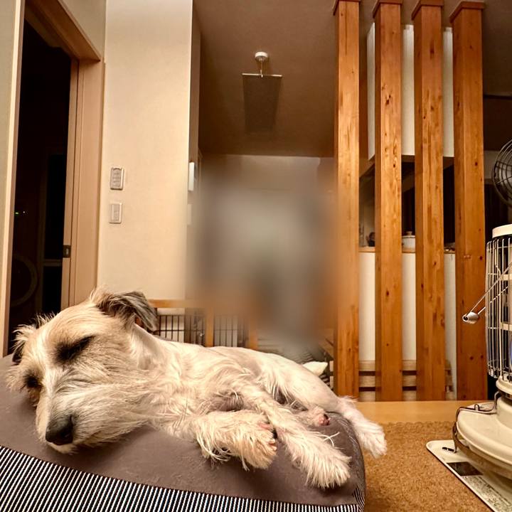 76e20d87 422e 4ac0 b019 c3518dc8e111 1703254495881