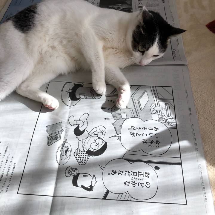 76e23a9a 1966 4101 881c 72b590960740 1672801422916