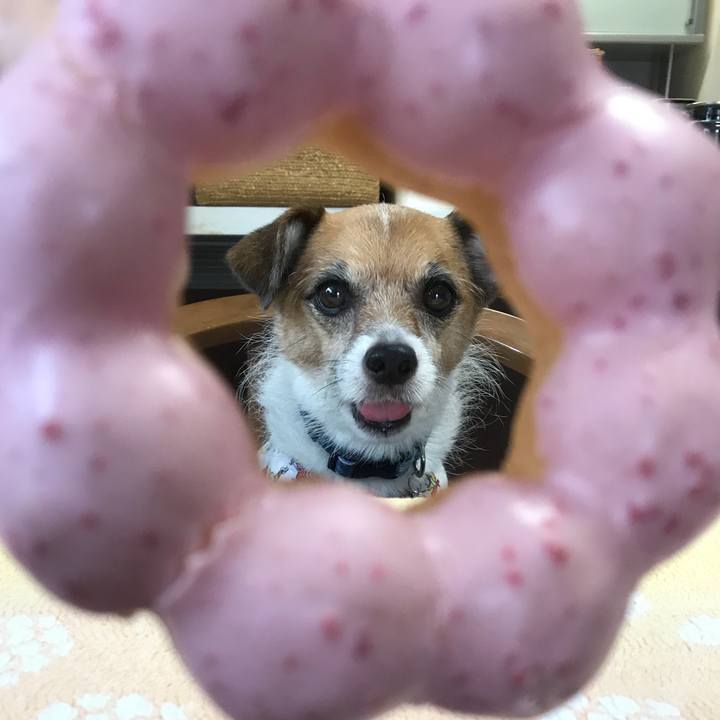 76e25336 2cd0 4df2 9056 e7c688c38b06 1534560362301