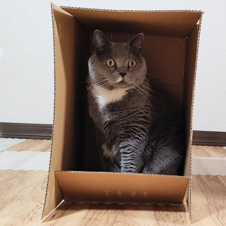 76e28414 9799 4616 8270 e282a276aa74 1677916476804