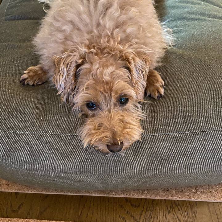 76e2be34 d178 47da 93fc 4bc5bb08f9ca 1661929138546