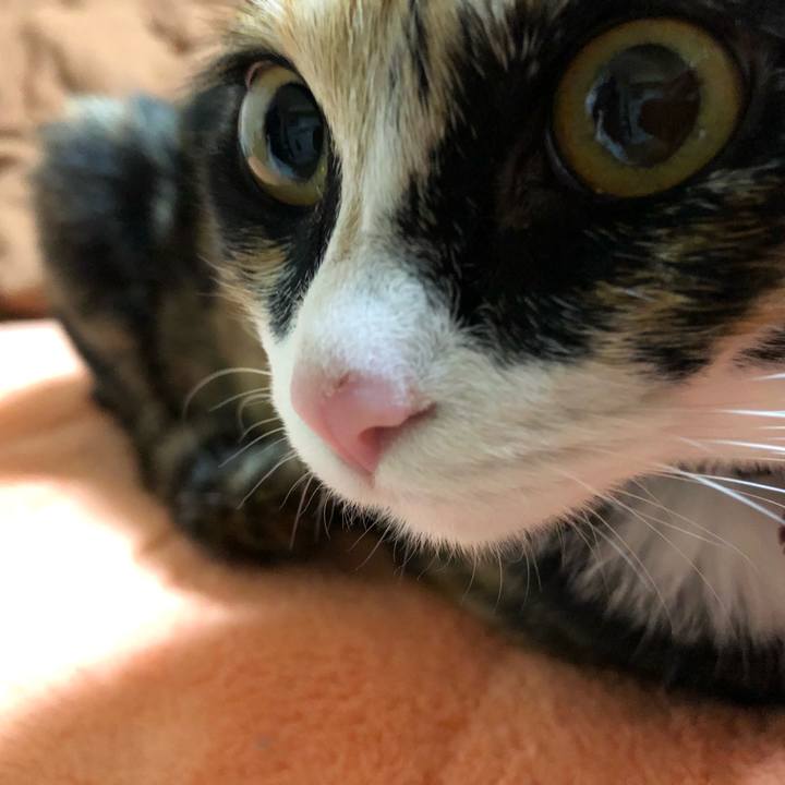 76e2bff3 1ee3 4b8f b4db d2fb7eb5e911 1554813417209