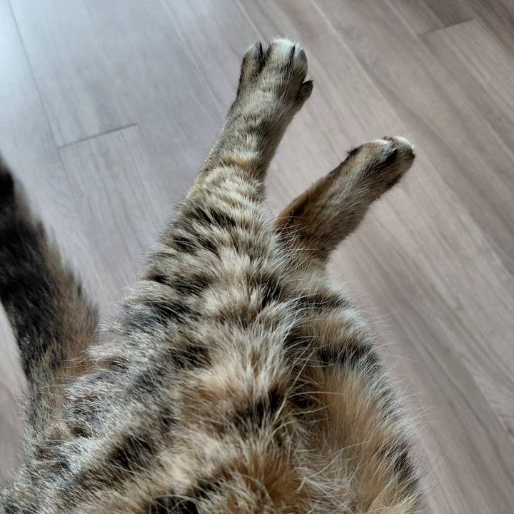 76e2c896 b1e5 40cc 8b33 47d93bca7d1d 1774746443736