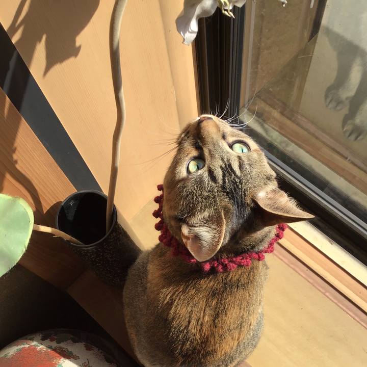 76e2e223 6c69 44f4 9d5b 6440170c2696 1615425451368