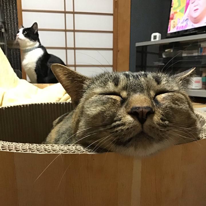 76e2e70d e2ed 4179 9eea 0d891ecec86d 1737463399618