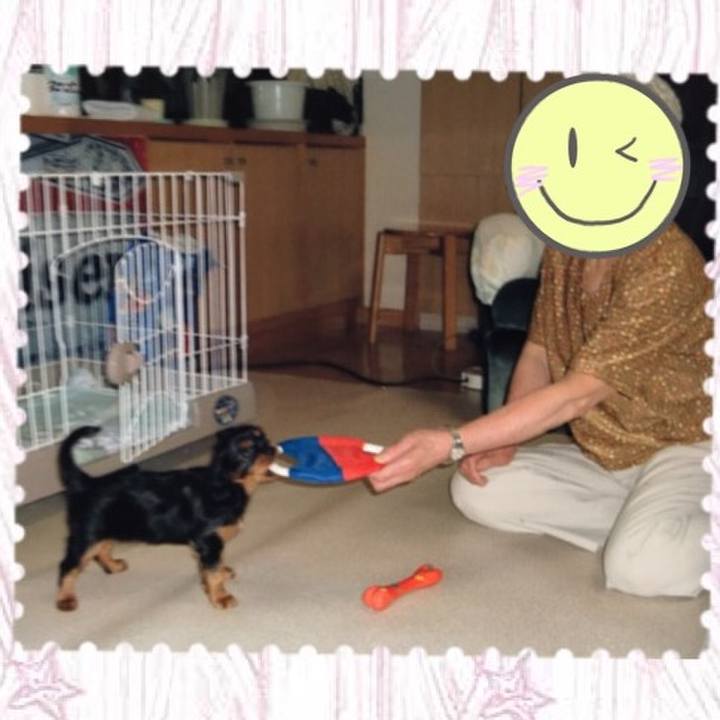 76e3335d 81f0 4bd6 b403 e9a56b120ef3 1508031531299