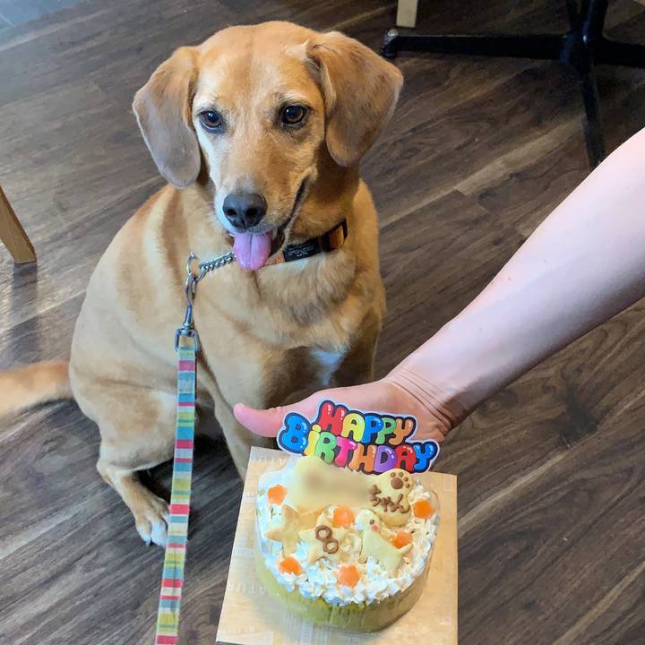 76e340cb 8e75 4072 a808 038cc446b5dc 1565839960790