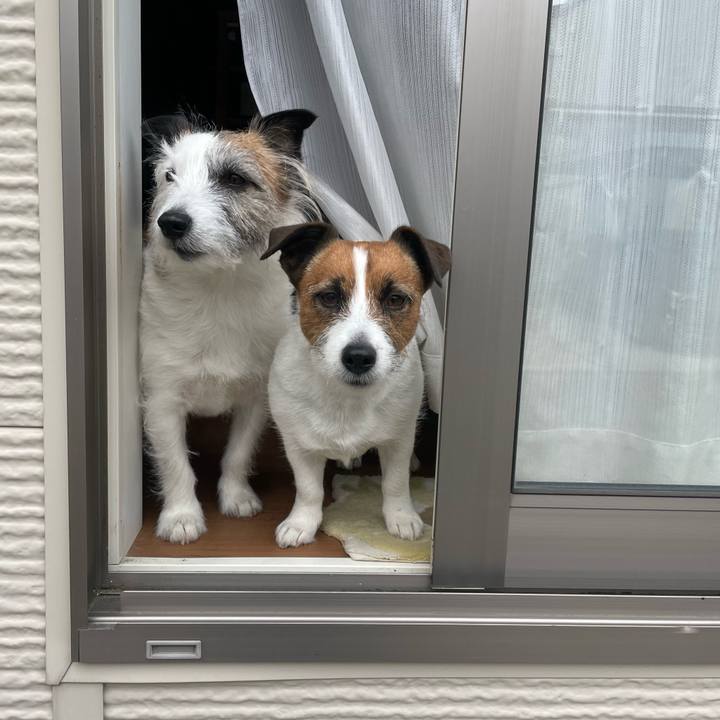 76e358d8 4b42 4c45 8419 49d48d813cb0 1744505881961