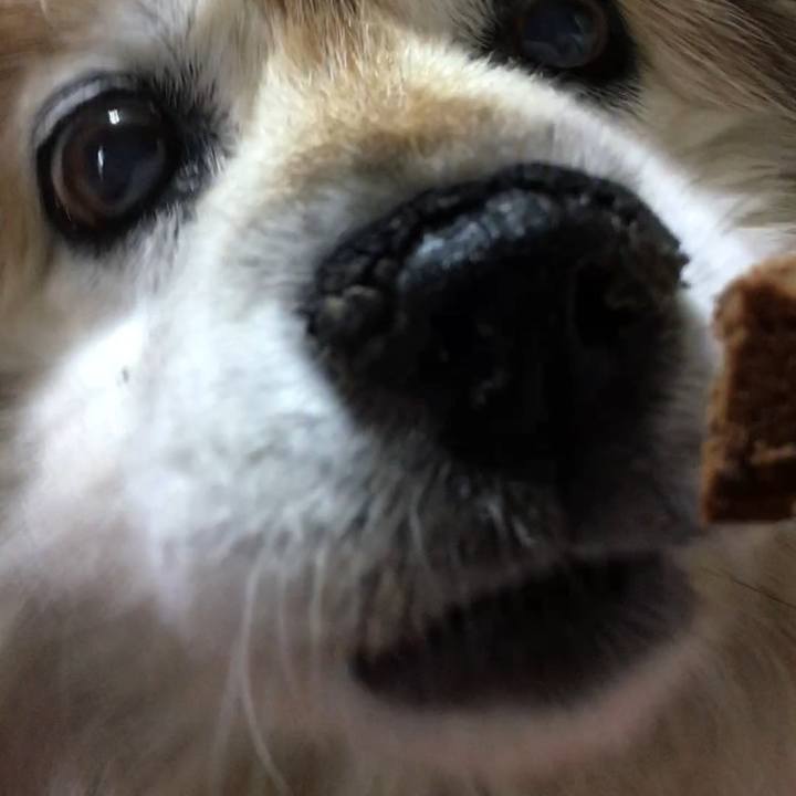 76e35bea a005 428f a32d 0ce10bbc2630 1629879353607