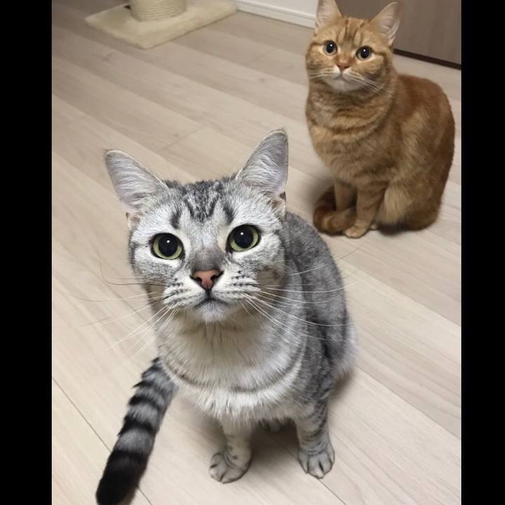 76e36fc3 6e36 479d a2fc de6610cc138b 1519895102511