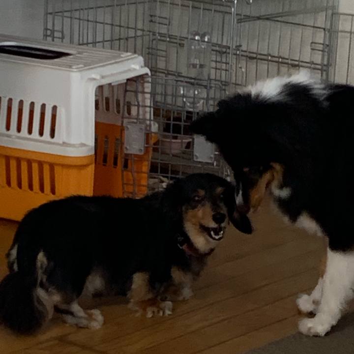 76e3ab4d 354b 40f4 8e19 e517dc18889e 1565740374154