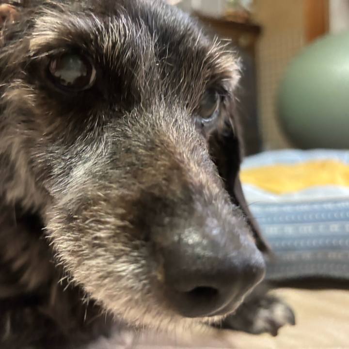 76e3e452 e9bc 4423 9adf 129d8440cb18 1759533988907