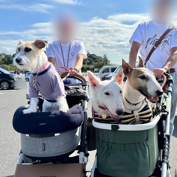 76e3ee26 4423 4408 810e bb702e4fd9a7 1697675129677