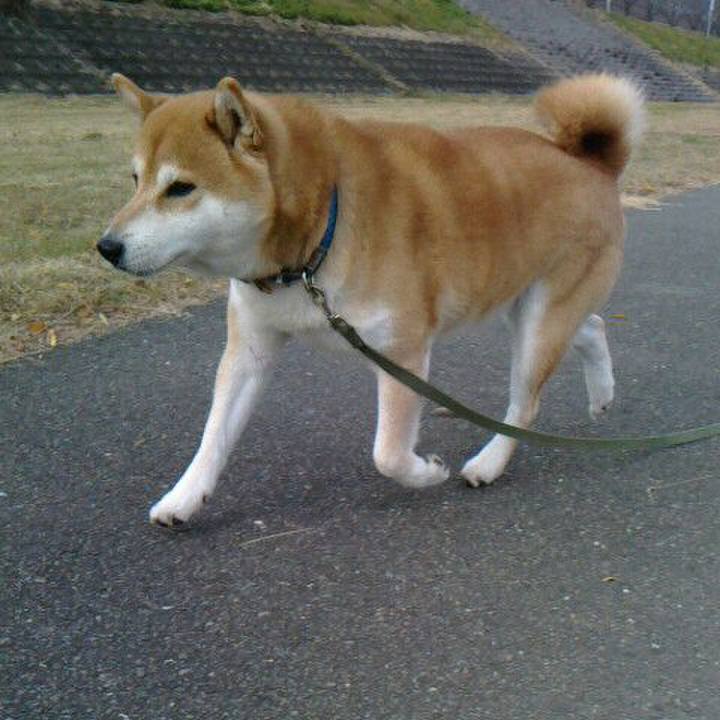 76e40c76 45a1 43b9 a467 b97d69f91027 1574936886787