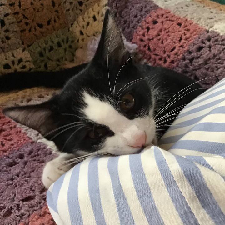 76e42884 7deb 4692 8627 dfd8ce15661e 1627189393220