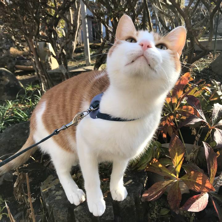 76e4701e 10a7 4f83 8cd1 b3382798f3b3 1516254255483