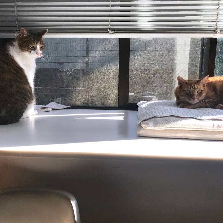 76e477fc 46c1 4073 81d7 494cbb2fa025 1538530993416