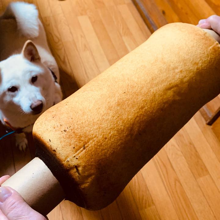 76e4a6e1 b79a 4081 911a da209e919b9d 1671318392854