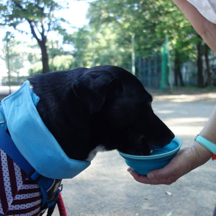 76e4bdd2 eb8b 43bf 8c43 bd0c45cc96aa 1626653752204