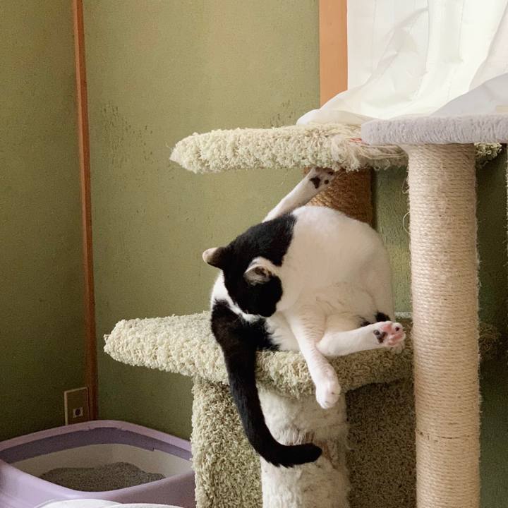 76e4da22 6798 469c 9931 582c70060734 1549247074516