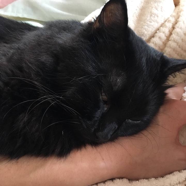 76e4fd6a 8889 48f1 b49c 93cb9d5bf256 1535685827435