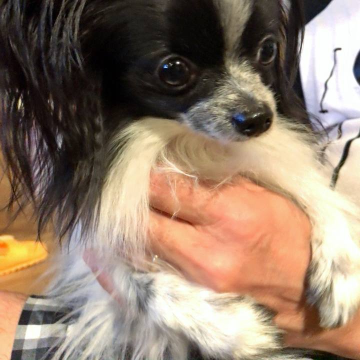 76e52c75 fe06 4718 b052 91be50e44d2d 1536836526245