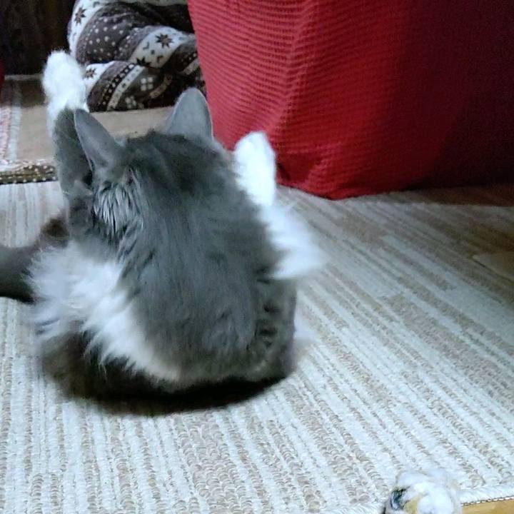 76e55f70 a739 458b 9124 72ce78f56692 1587466258328