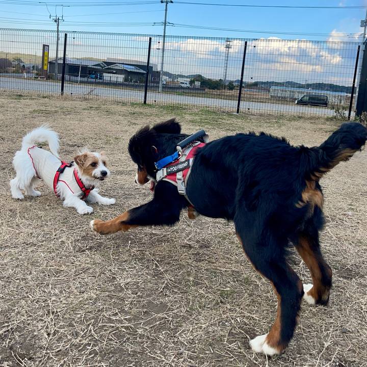 76e560e1 87d7 4515 acb0 33c966174be5 1767862691702