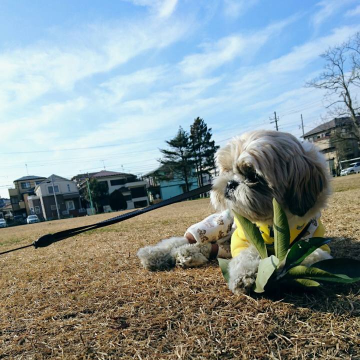 76e5767d 5c3e 45ed 8966 5ec684c461fa 1546922769135