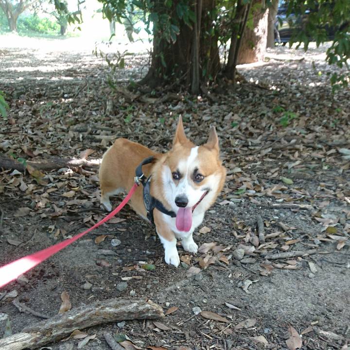 76e595f9 e4b0 47bb bdd3 2ee8d177c7e8 1630027868187