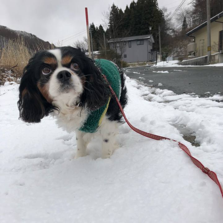 76e5b7d9 96f2 49c2 97a3 af55c33b4c54 1553407063736