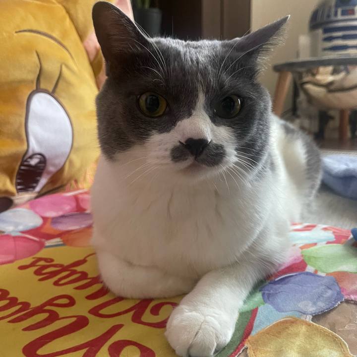 76e5d5f5 f4a2 4f85 9dd4 768f9ddab511 1754431574463