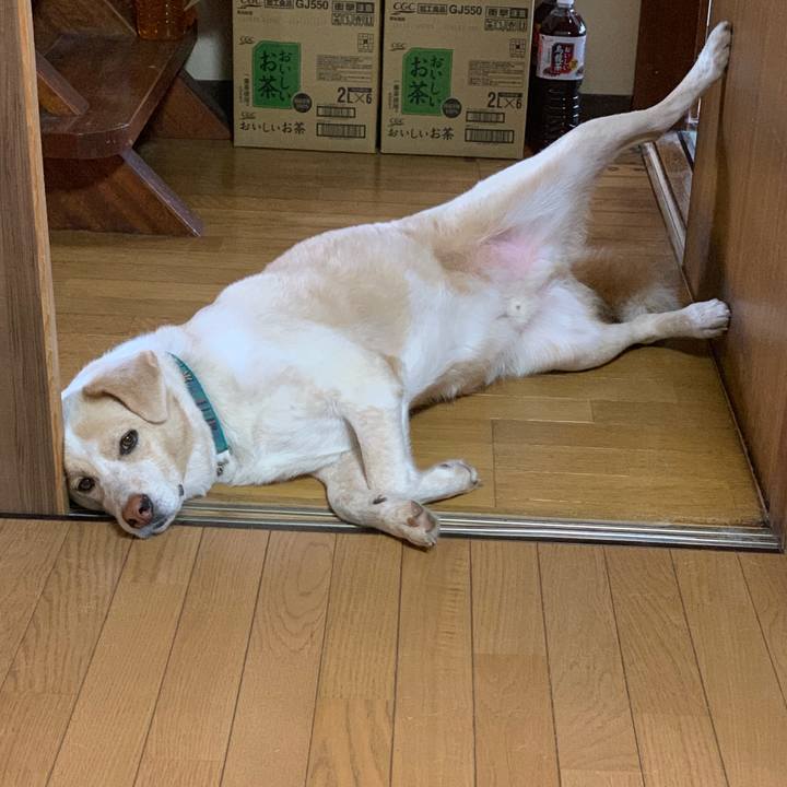 76e5f0e3 4a18 4b56 a972 51129d27ca15 1562797142234