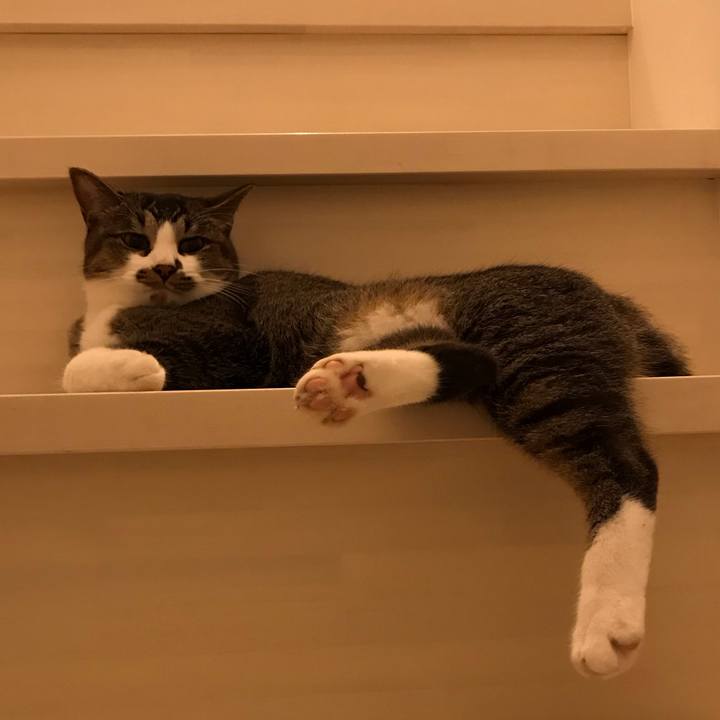 76e64484 c768 4067 a8a0 2230acbf7ab0 1570187767378