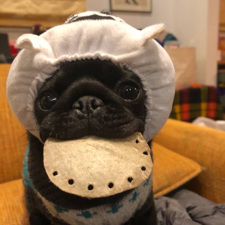 76e64a4b 0cff 4fdb 917a b6aba510567d 1612957894214