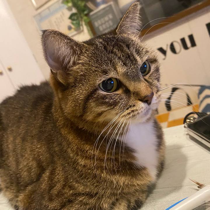 76e65013 756d 4835 80d1 c6196435bbe3 1731765435168