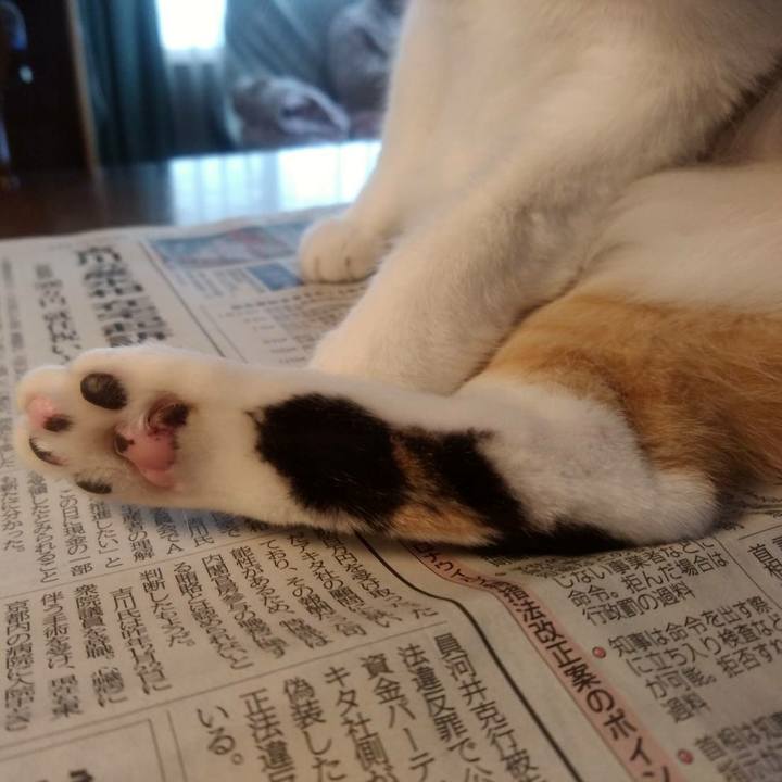 76e66872 922e 417f b538 75fa6ba07f24 1610522455133