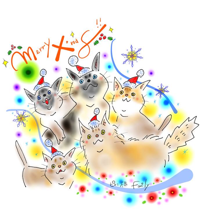 76e68893 b0b3 4a90 a257 1e349429abf5 1640441485776