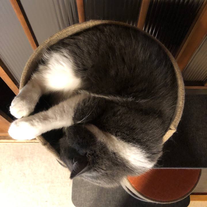 76e69887 5789 4722 89a1 b387a2660c10 1591867827787