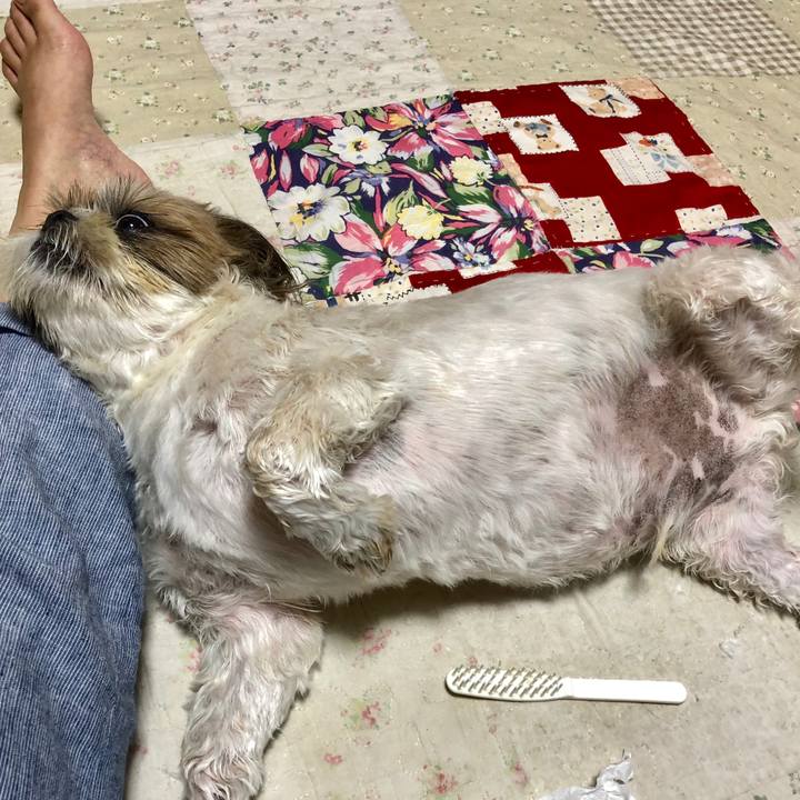 76e6bb73 9c48 4bc0 9548 0deda7202504 1532750802564