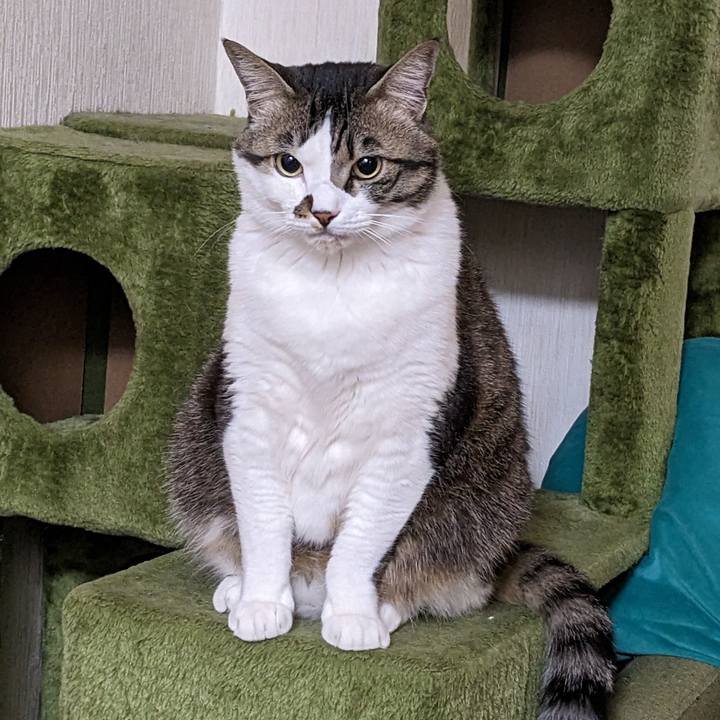 76e6e1ad f8ff 4ec6 8f80 ac1dbe7bb7f5 1677447975062