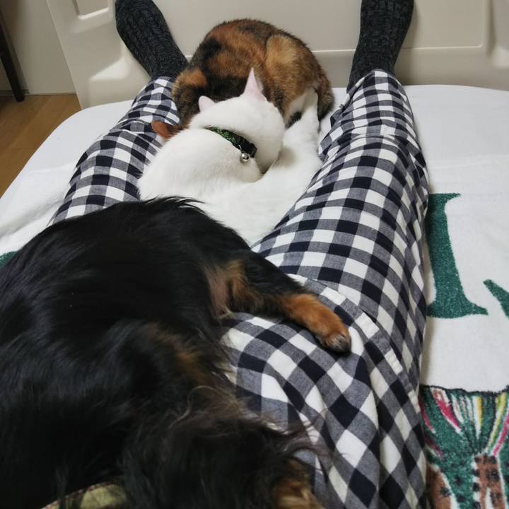 76e6e9dc 95b0 4c40 bf24 9faaf1219570 1646735006413