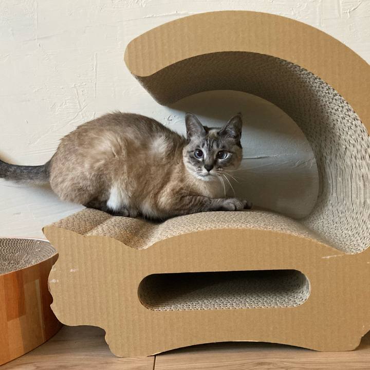 76e6ef31 f6d6 4e36 8635 ac7d30fc802b 1645855630162