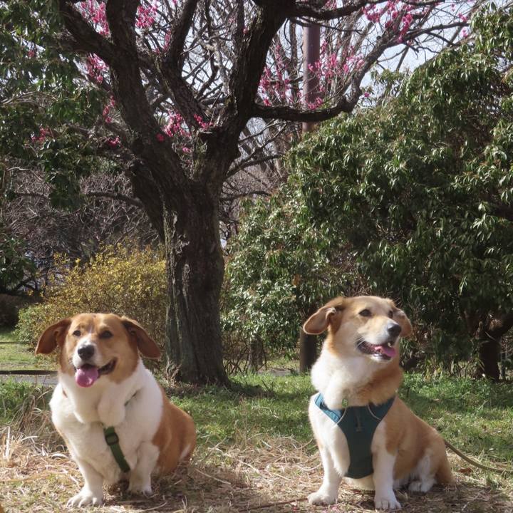 76e6f417 17f0 4125 98ee b834c48ef4a3 1708387042599