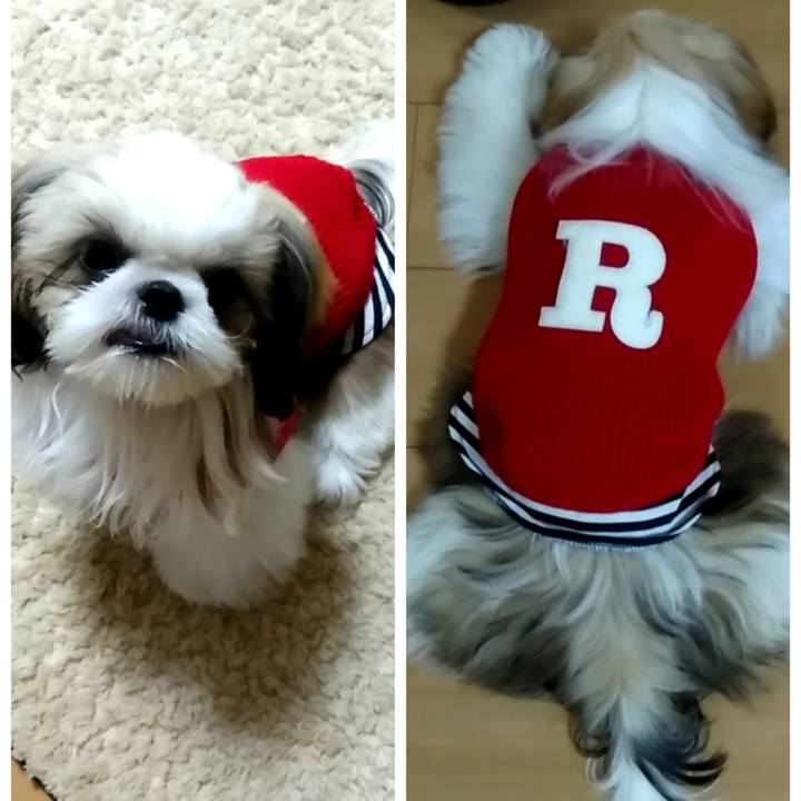 76e6f5df c7c1 4a58 9445 4226c73f7698 1540219944660